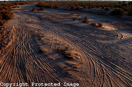 IN SAN LUIS BAJA NORTE MEXICO THE RIVER IS DRY LESS THAN TEN MILES SOUTH OF THE BORDER