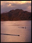 SAGUARO Lake Sunset