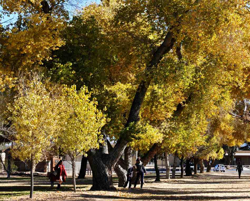 Once a parade ground for troops chasing Geronimo, today people walk their dogs and kids.