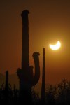 Tucson Solar Eclispse 4177crop