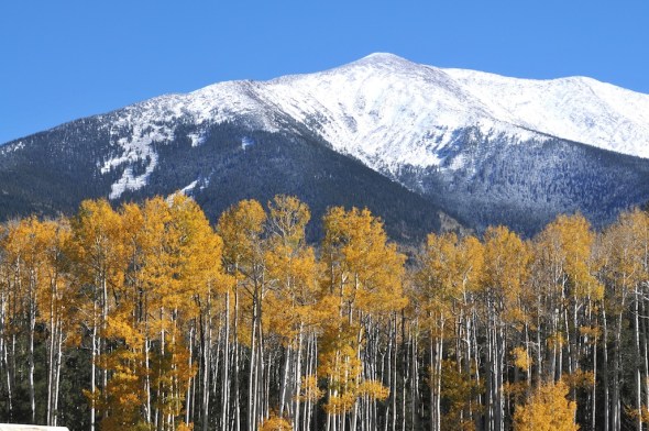 SAN FRANCISCAN PEAKS