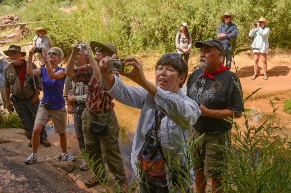 ROCKARTRANCH PHOTOS2