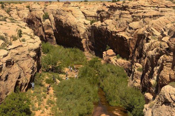 ROCKARTRANCHCHEVELONCANYON