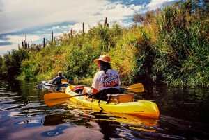 BIRDING ALONG THE SALT RIVER-