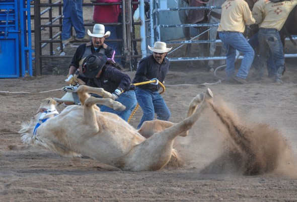 76th SELLS RODEO and FAIR ….Wild Horse Race-4274