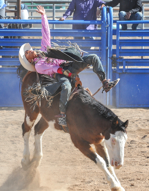 76th SELLS RODEO and FAIR lr4305