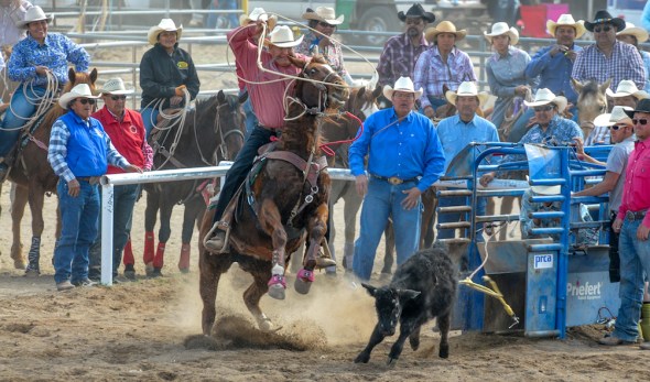 76th SELLS RODEOlr -4370