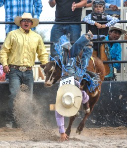 SACATON JR RODEO 5325