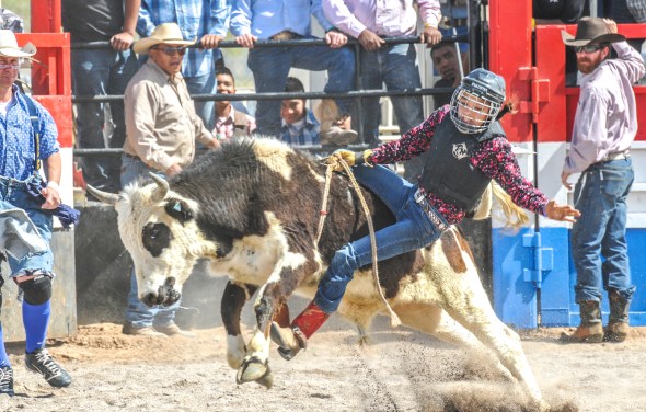 SACATON JR RODEO 5467