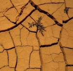 BUZAN MOUNDS-1050097