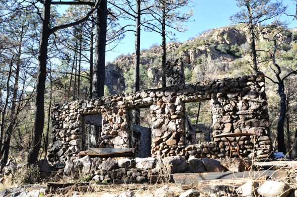 Cabins built 50 years ago had survived unscathed for a half century and then the fire came in the Chiricahua Mountains in southeast Arizona