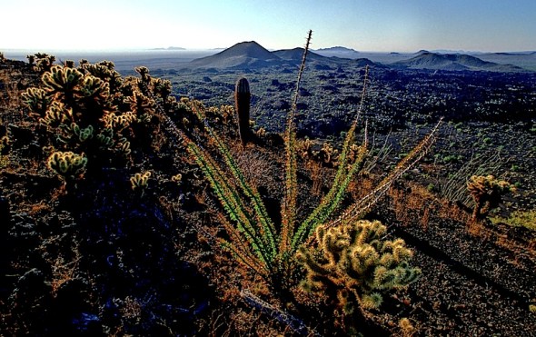 Pinacate Tecolete Flow Son