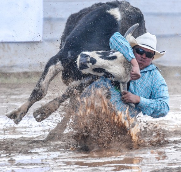 SELLS RODEO, FAIR, TOKA TOURNEY-7783