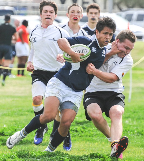 TUCSON RUGBY PUSH8779