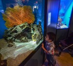 VISITORS TUCSON AZ-SON DESERTMUSUM-5792